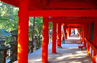 Kasuga taisha